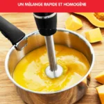 Mixeur plongeant Moulinex INFINYFORCE avec Accessoire Blender